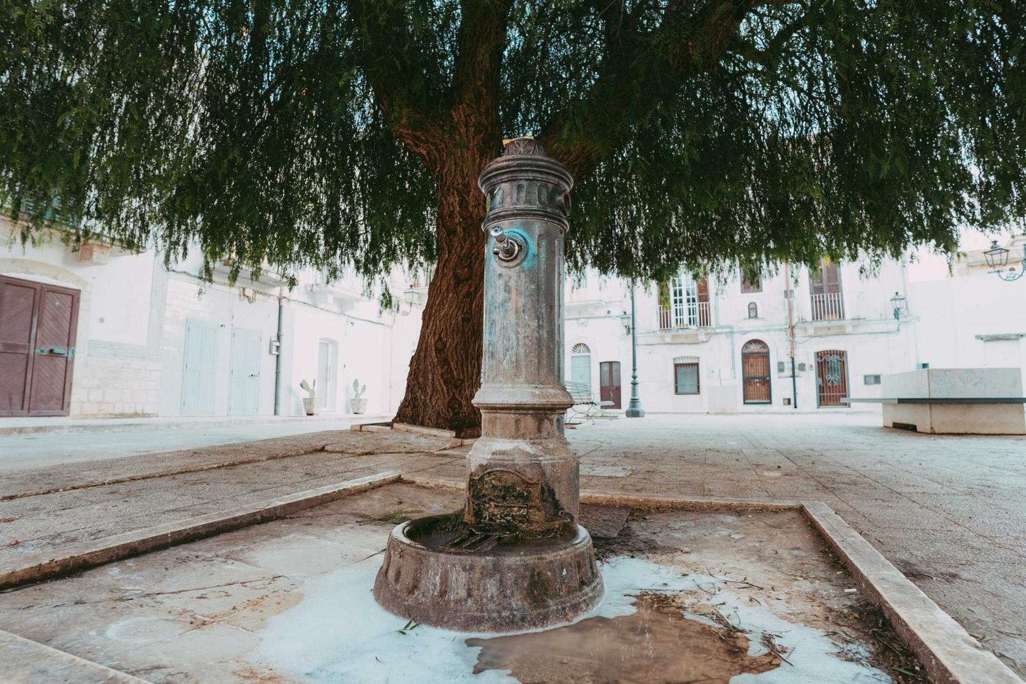 Villa Casa Pagano Noicattaro Esterno foto